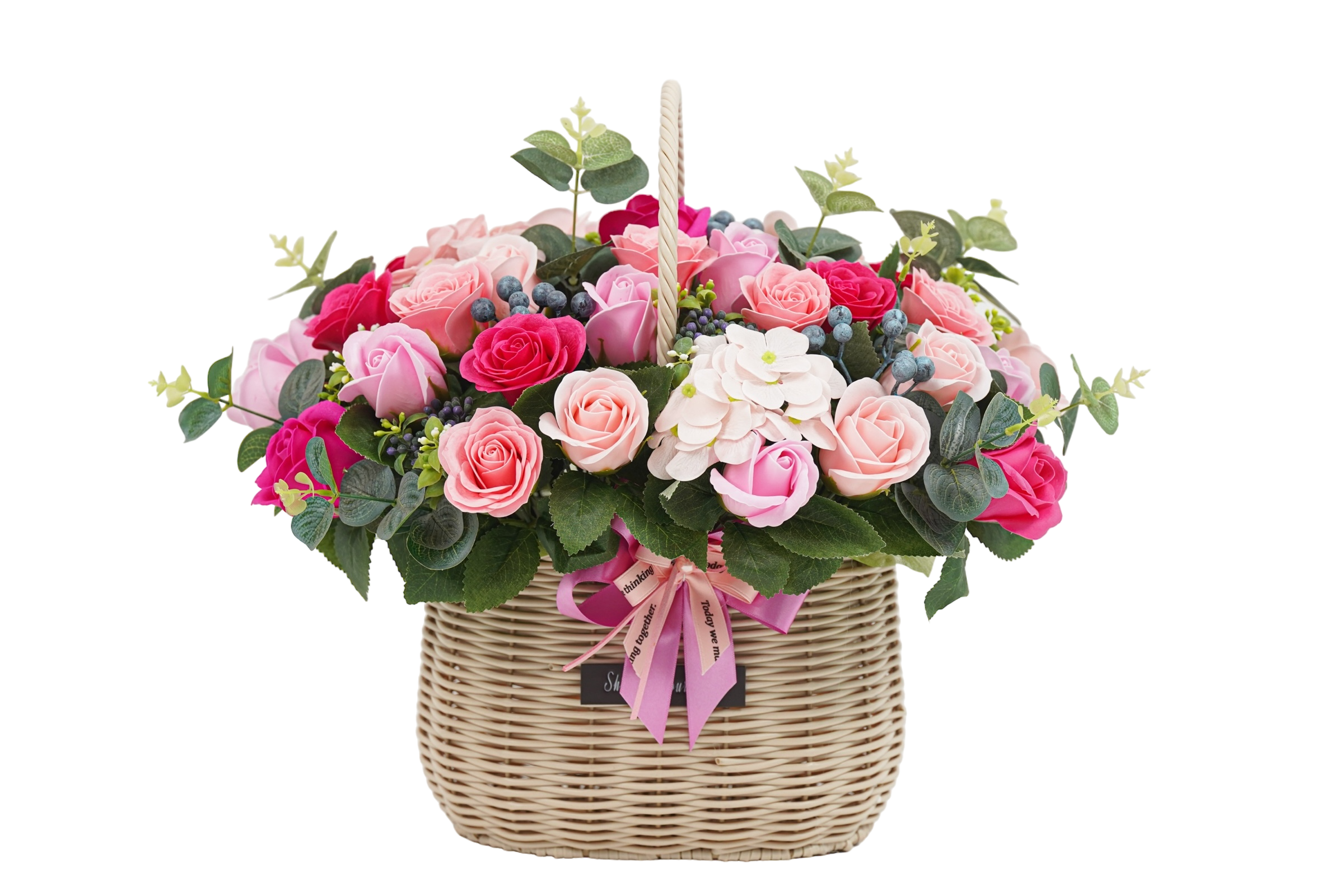 핑크 심포니 (비누꽃)